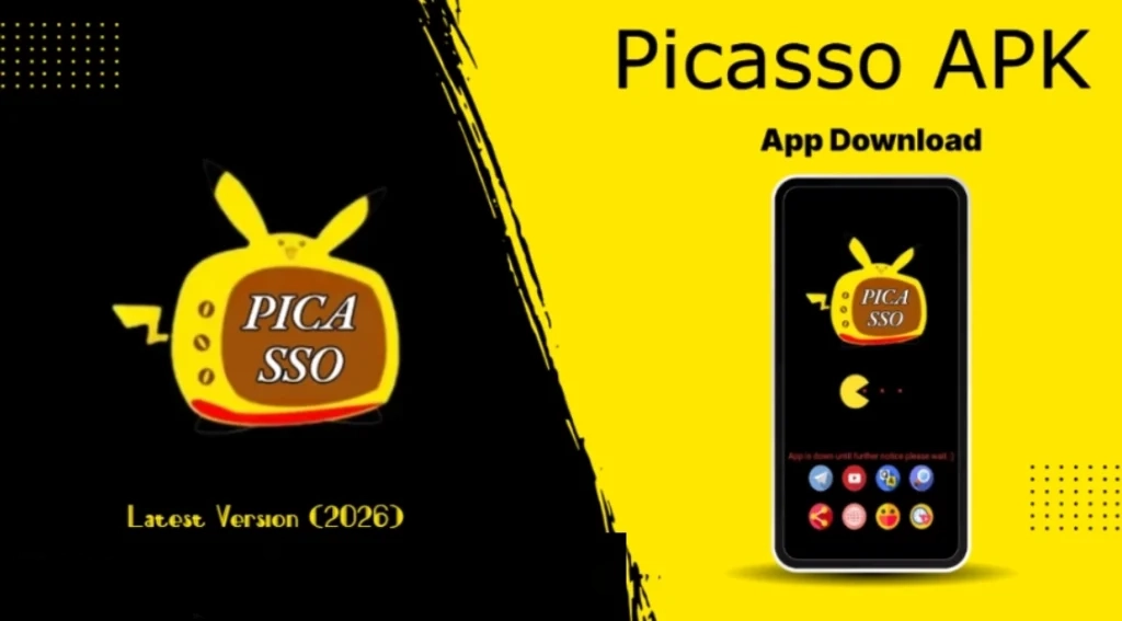 What is Picasso
